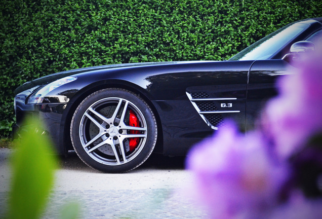 Mercedes-Benz SLS AMG Roadster