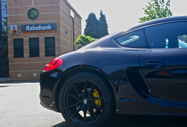 Porsche 981 Cayman S