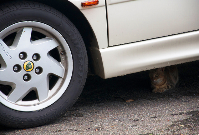 Lotus Esprit Turbo SE