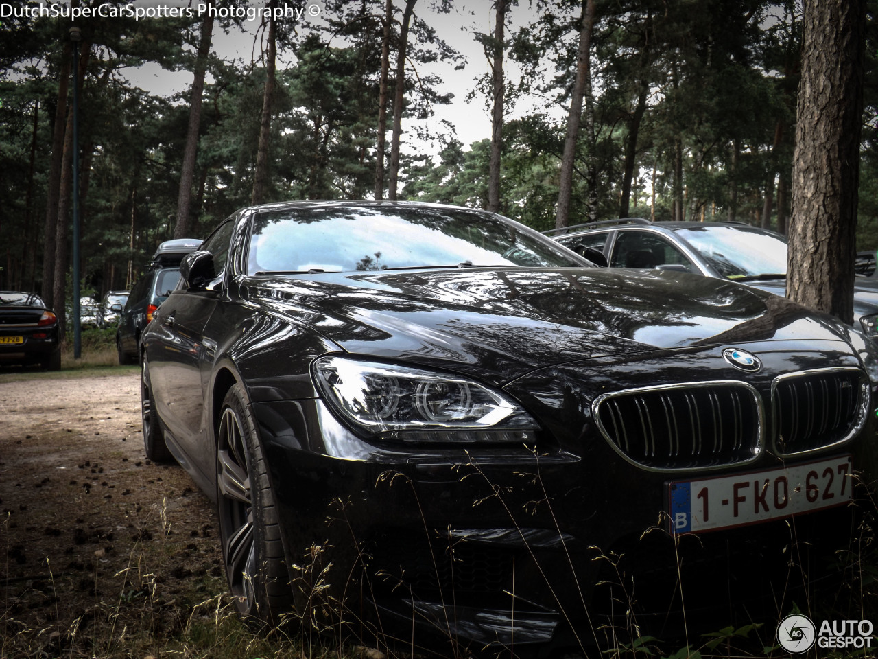 BMW M6 F06 Gran Coupé