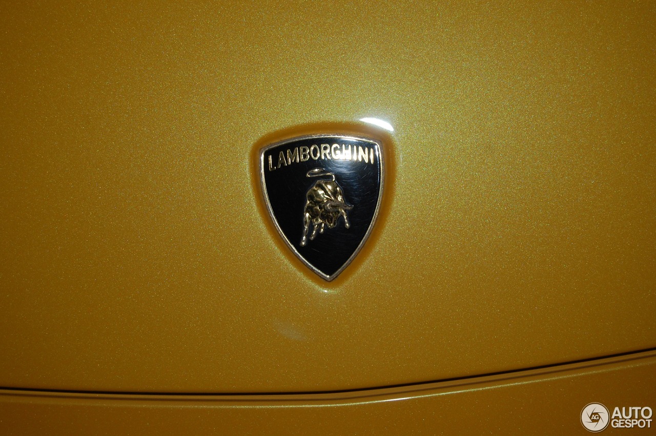 Lamborghini Gallardo LP560-4 Bicolore