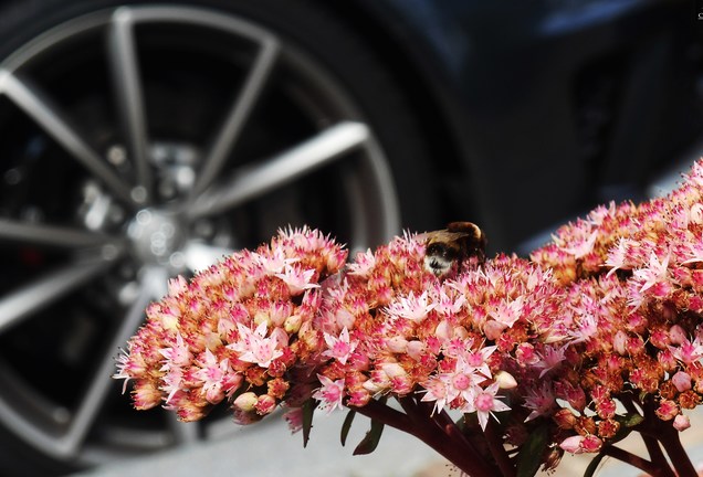 Audi RS4 Avant B8