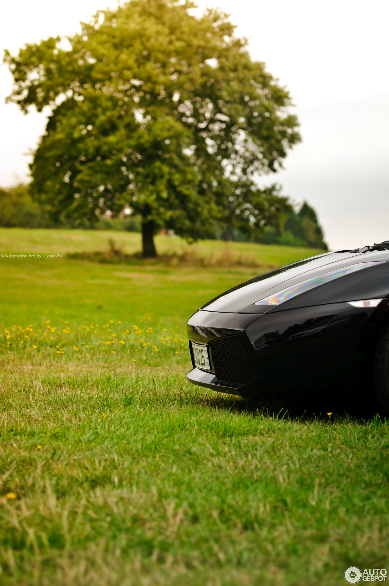 Lamborghini Gallardo