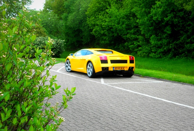 Lamborghini Gallardo