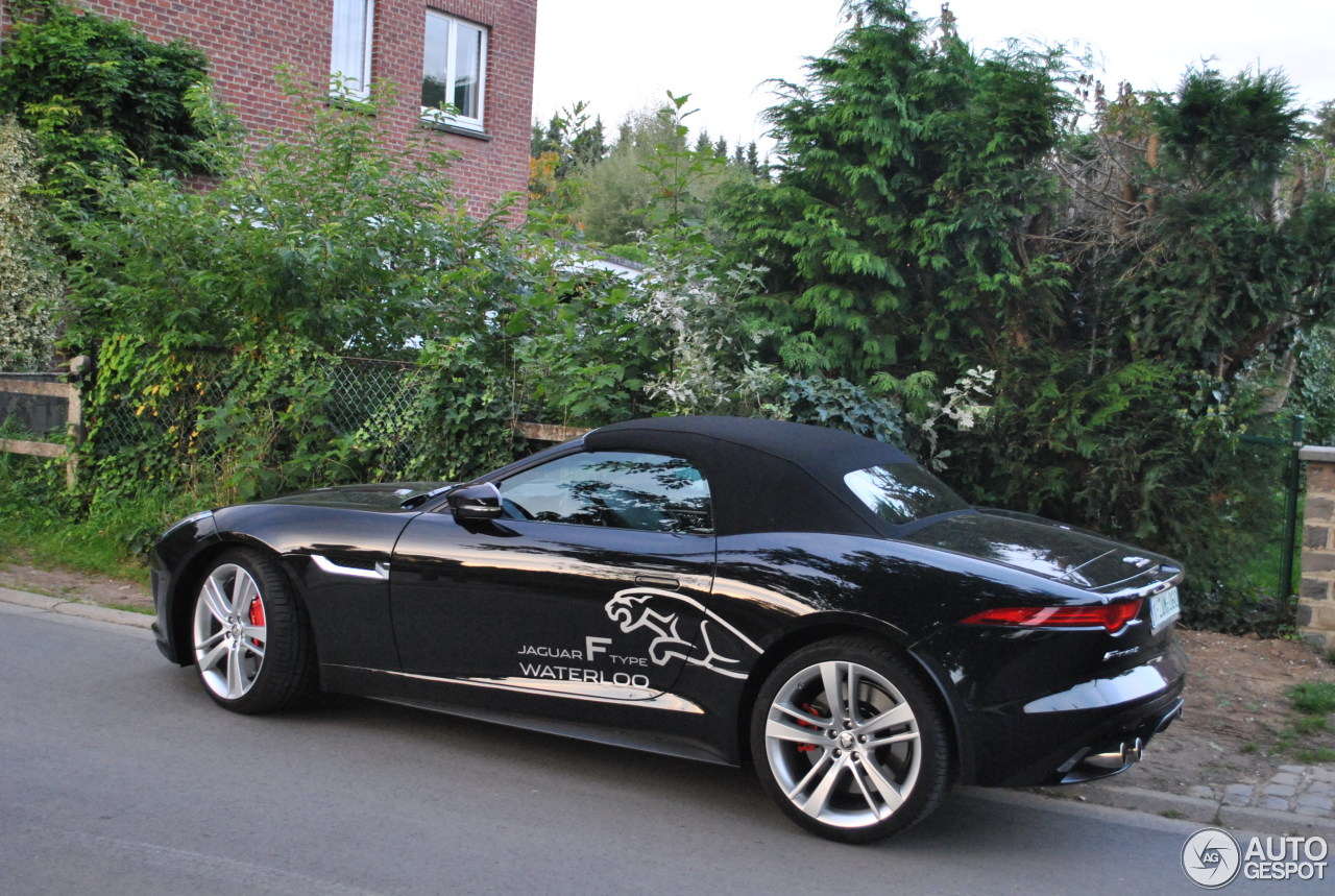 Jaguar F-TYPE S V8 Convertible