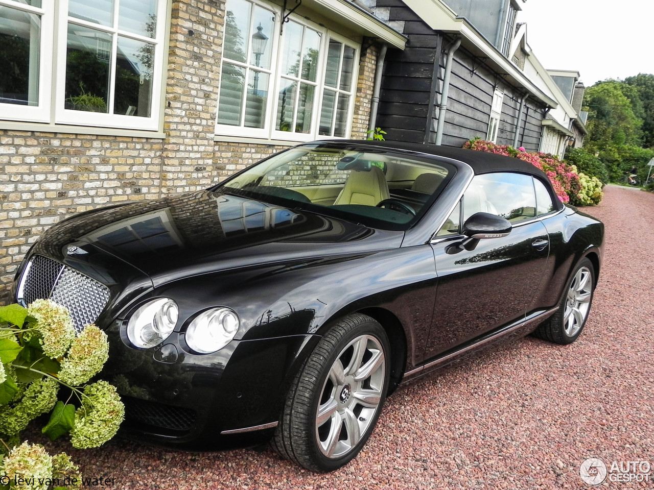 Bentley Continental GTC