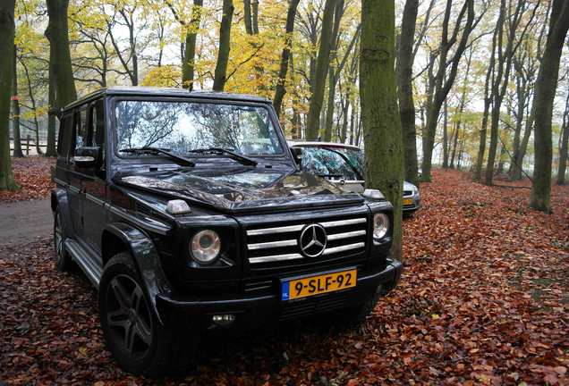 Mercedes-Benz G 55 AMG Kompressor 2010