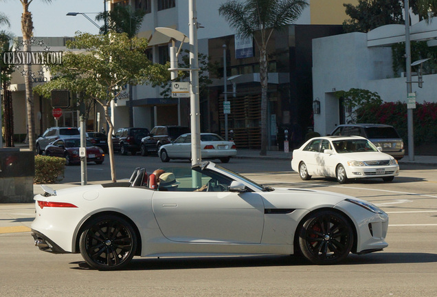 Jaguar F-TYPE S V8 Convertible