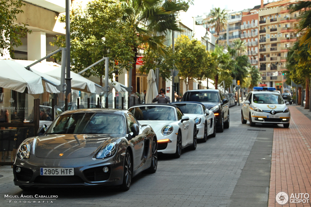 Porsche 981 Cayman S