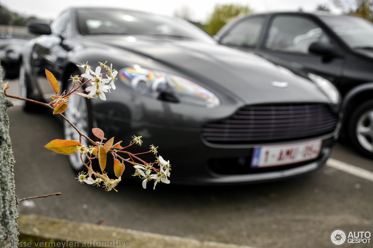 Aston Martin V8 Vantage