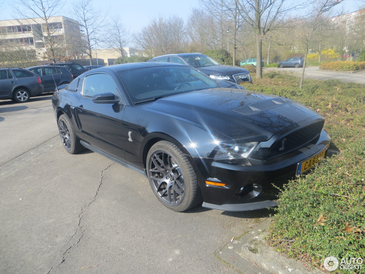 Ford Mustang Shelby GT500 2011