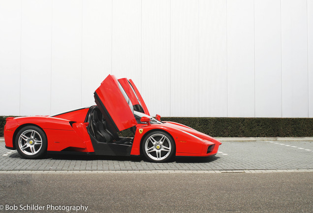 Ferrari Enzo Ferrari