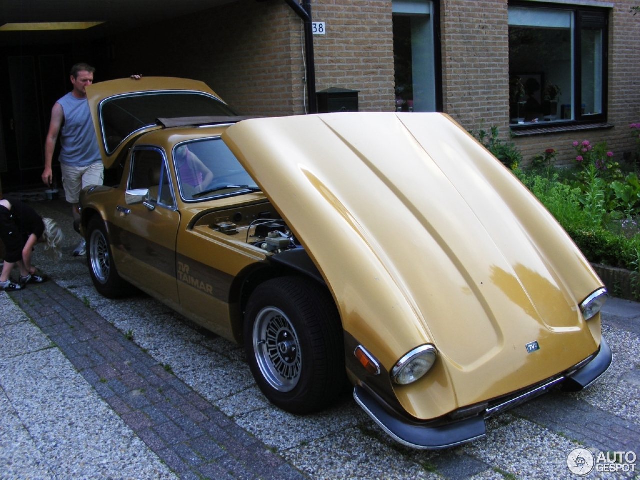 TVR 3000 Taimar