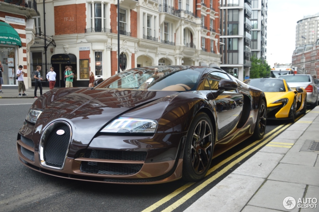 Bugatti Veyron 16.4 Grand Sport Vitesse Rembrandt Bugatti