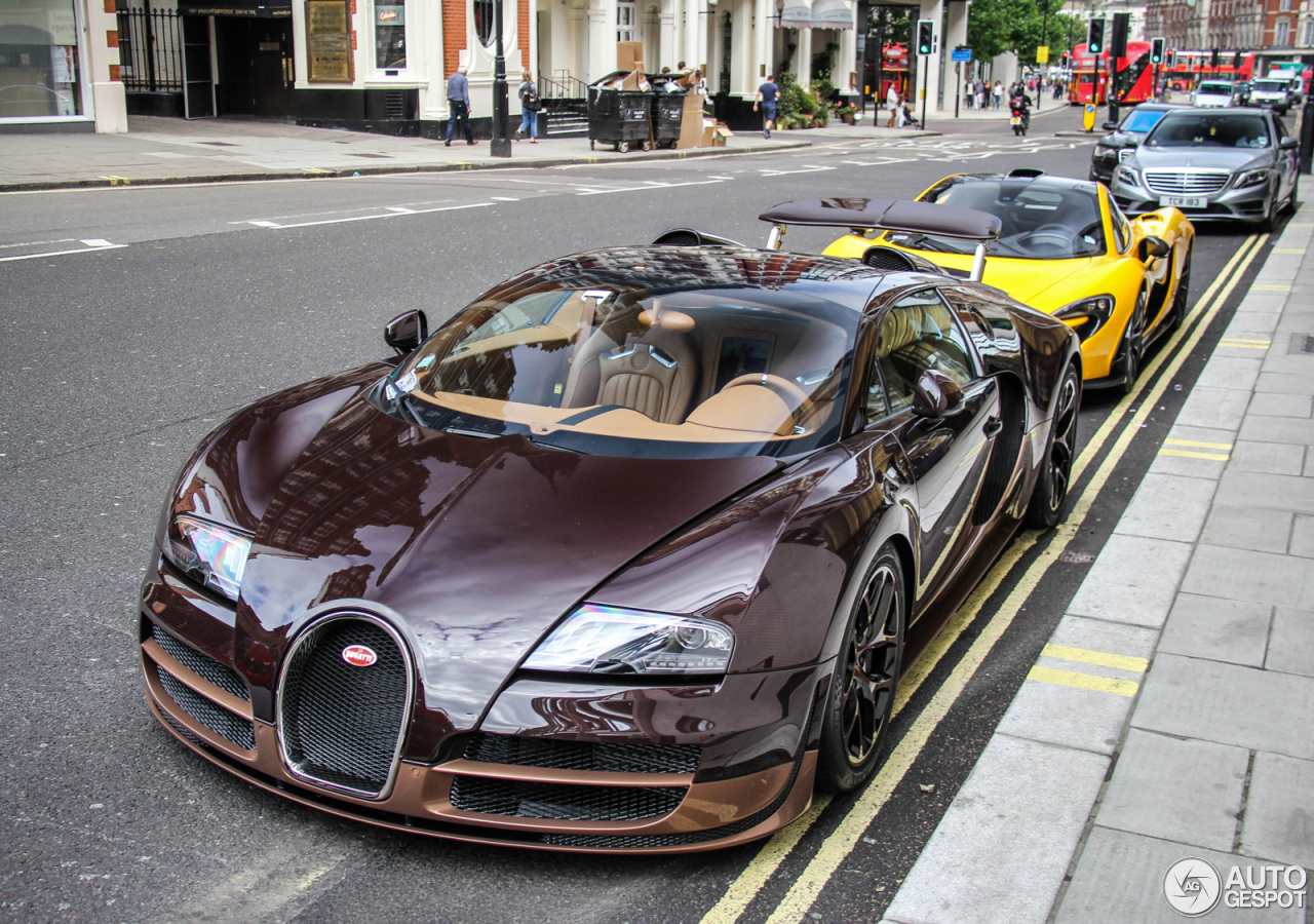 Bugatti Veyron 16.4 Grand Sport Vitesse Rembrandt Bugatti