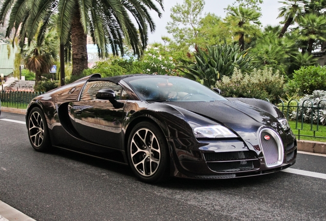 Bugatti Veyron 16.4 Grand Sport Vitesse