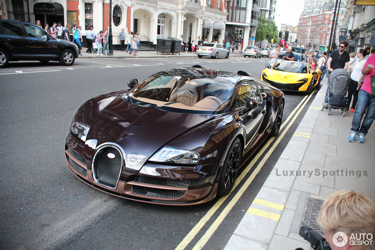 Bugatti Veyron 16.4 Grand Sport Vitesse Rembrandt Bugatti