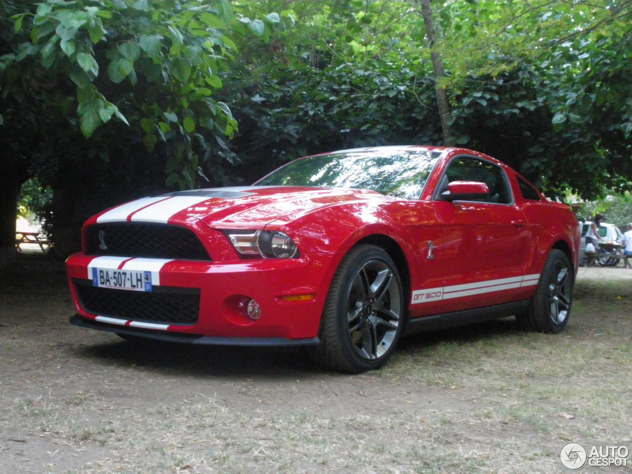 Ford Mustang Shelby GT500 2010