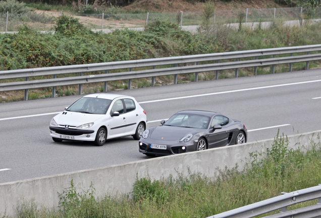 Porsche 981 Cayman S