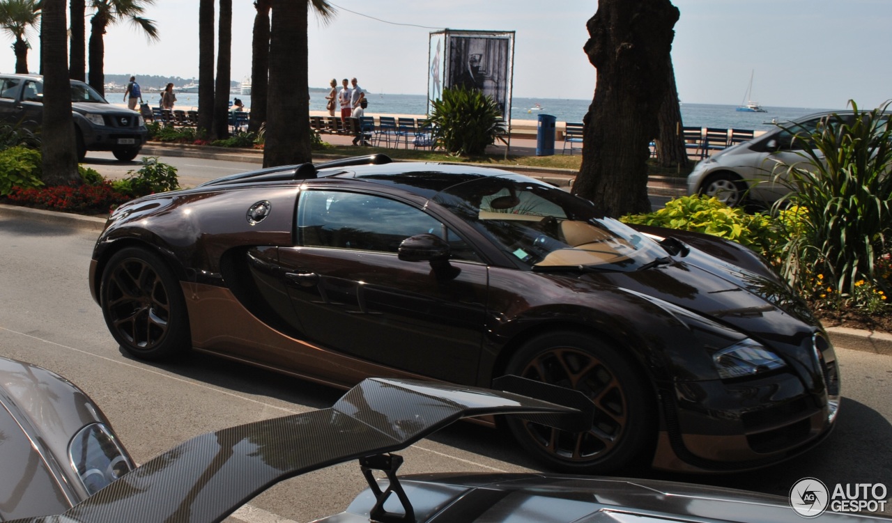 Bugatti Veyron 16.4 Grand Sport Vitesse Rembrandt Bugatti