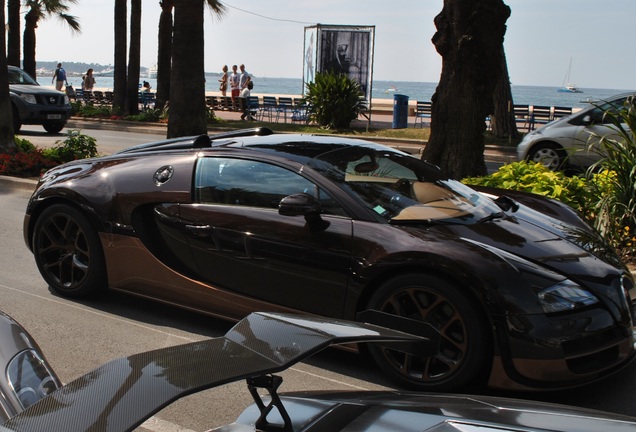 Bugatti Veyron 16.4 Grand Sport Vitesse Rembrandt Bugatti