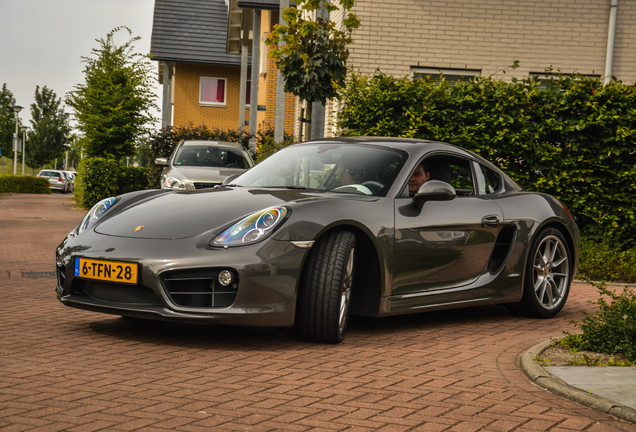 Porsche 981 Cayman S