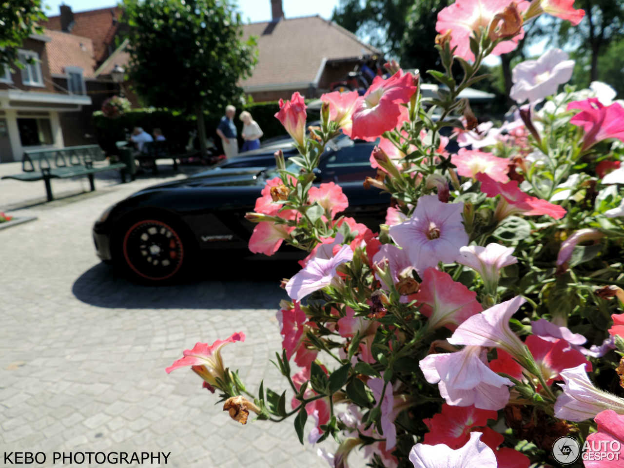 Dodge Viper SRT-10 Roadster Black Mamba Edition