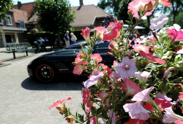 Dodge Viper SRT-10 Roadster Black Mamba Edition