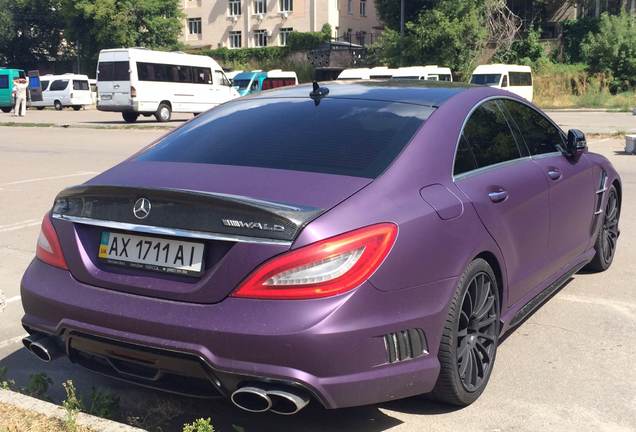 Mercedes-Benz Wald CLS 63 AMG C218 Black Bison Edition