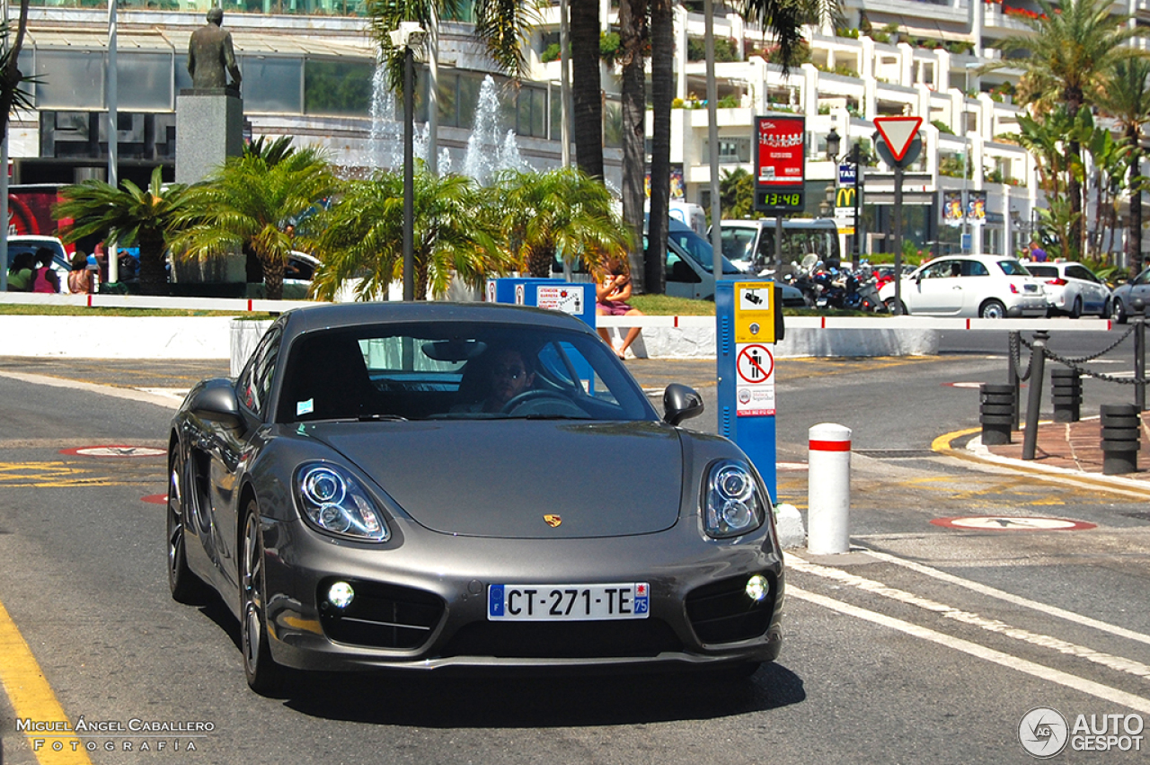 Porsche 981 Cayman S