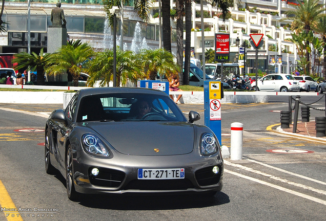 Porsche 981 Cayman S