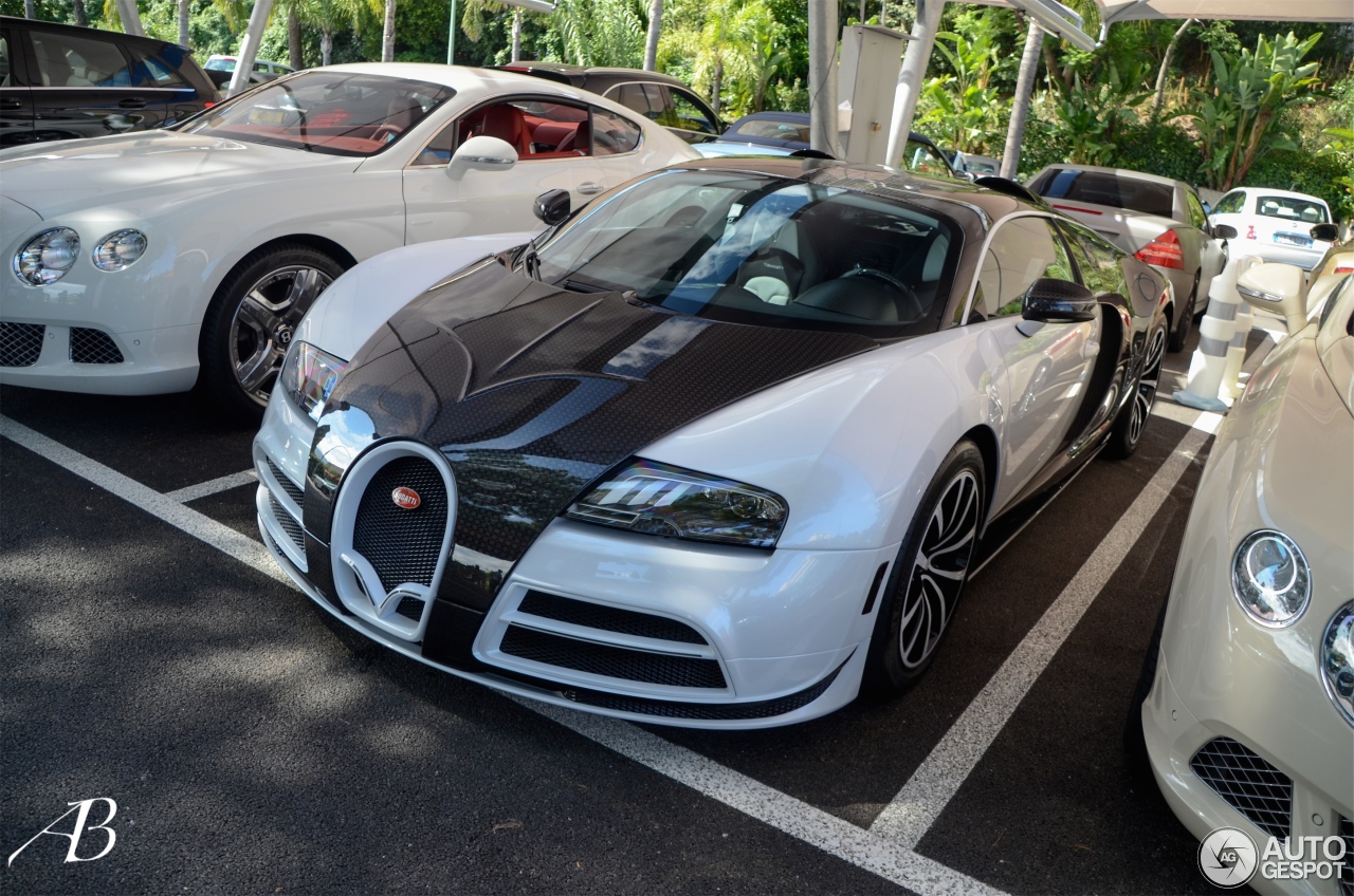 Bugatti Veyron 16.4 Mansory Vivere