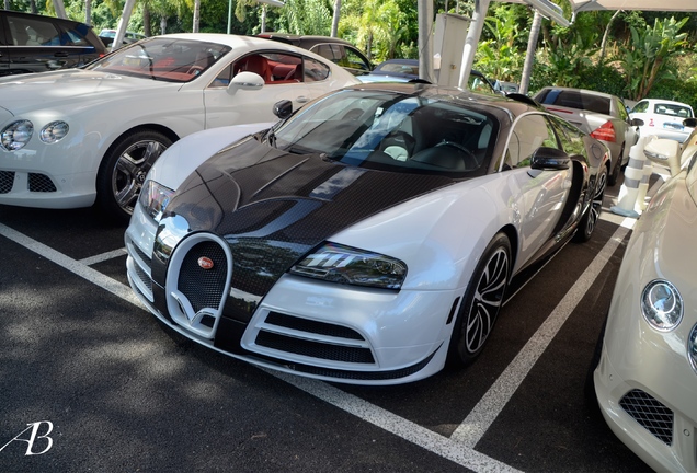 Bugatti Veyron 16.4 Mansory Vivere