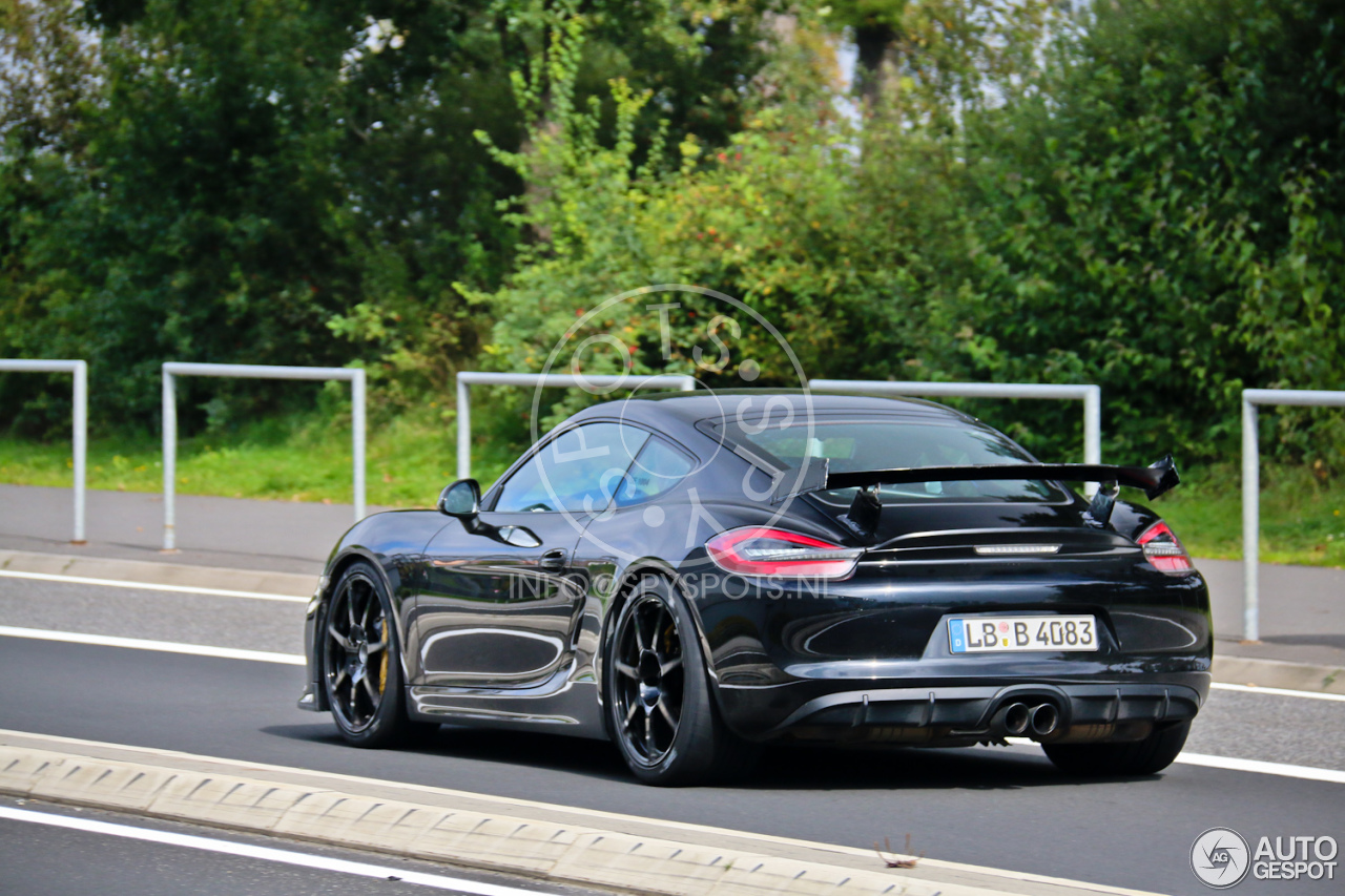 Porsche 981 Cayman GT4