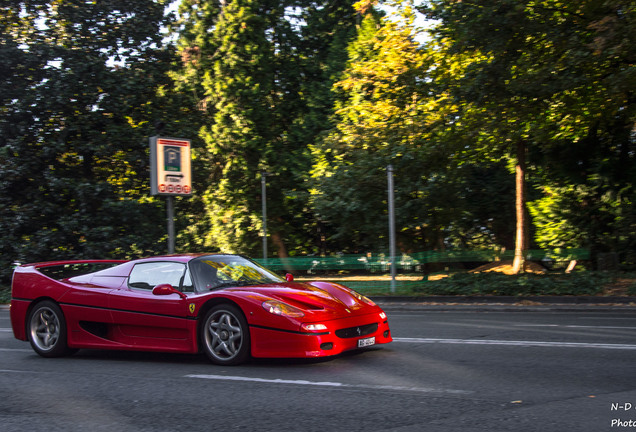 Ferrari F50