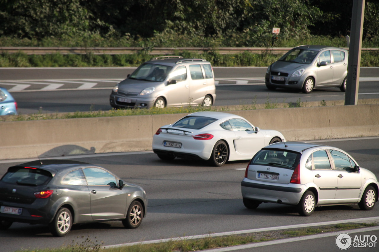 Porsche 981 Cayman S