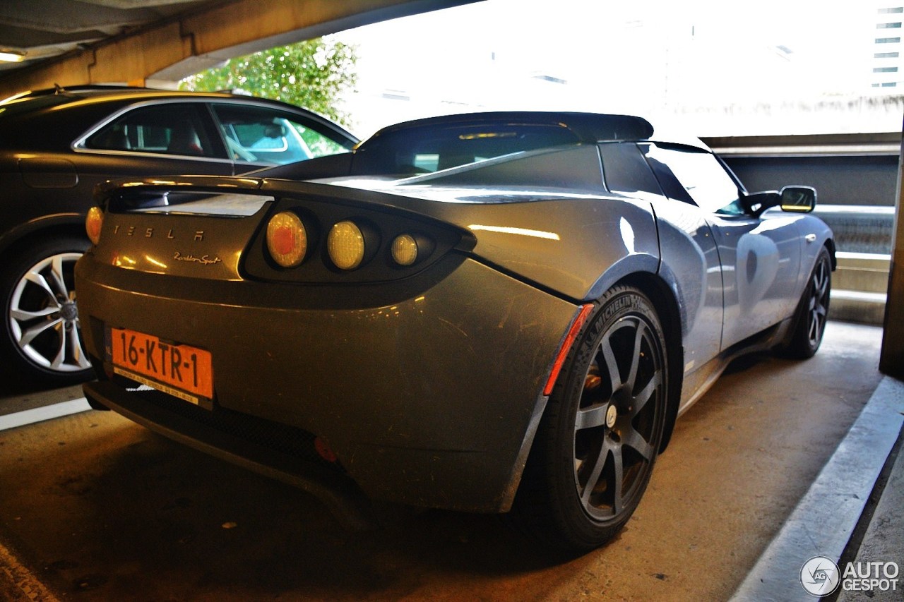 Tesla Motors Roadster Sport Signature 250