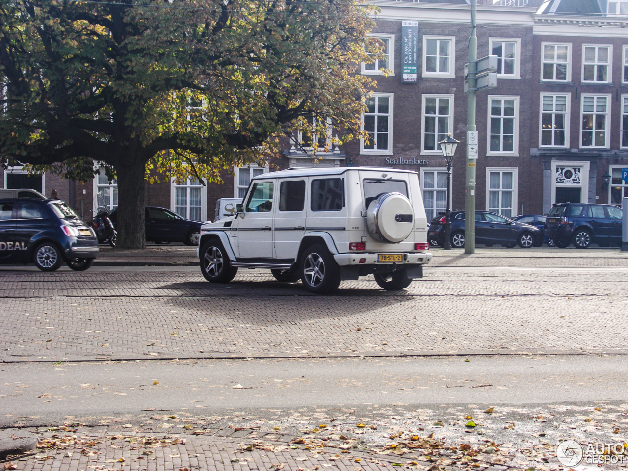 Mercedes-Benz G 55 AMG Kompressor 2010