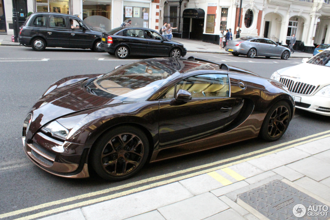 Bugatti Veyron 16.4 Grand Sport Vitesse Rembrandt Bugatti