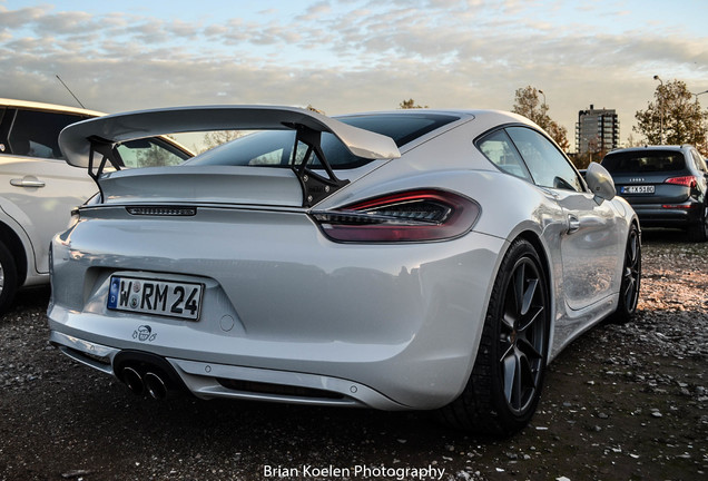 Porsche TechArt Cayman S 2013