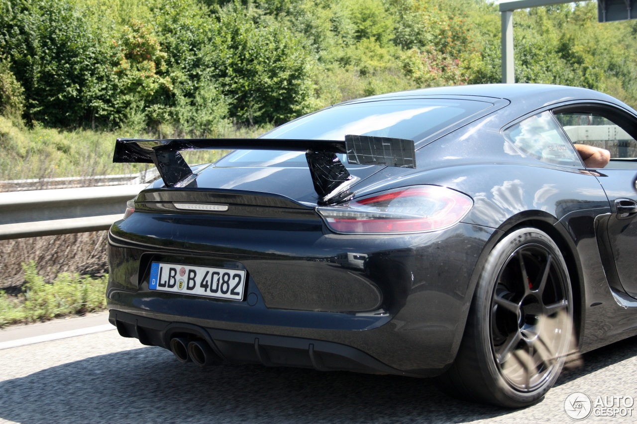 Porsche 981 Cayman GT4