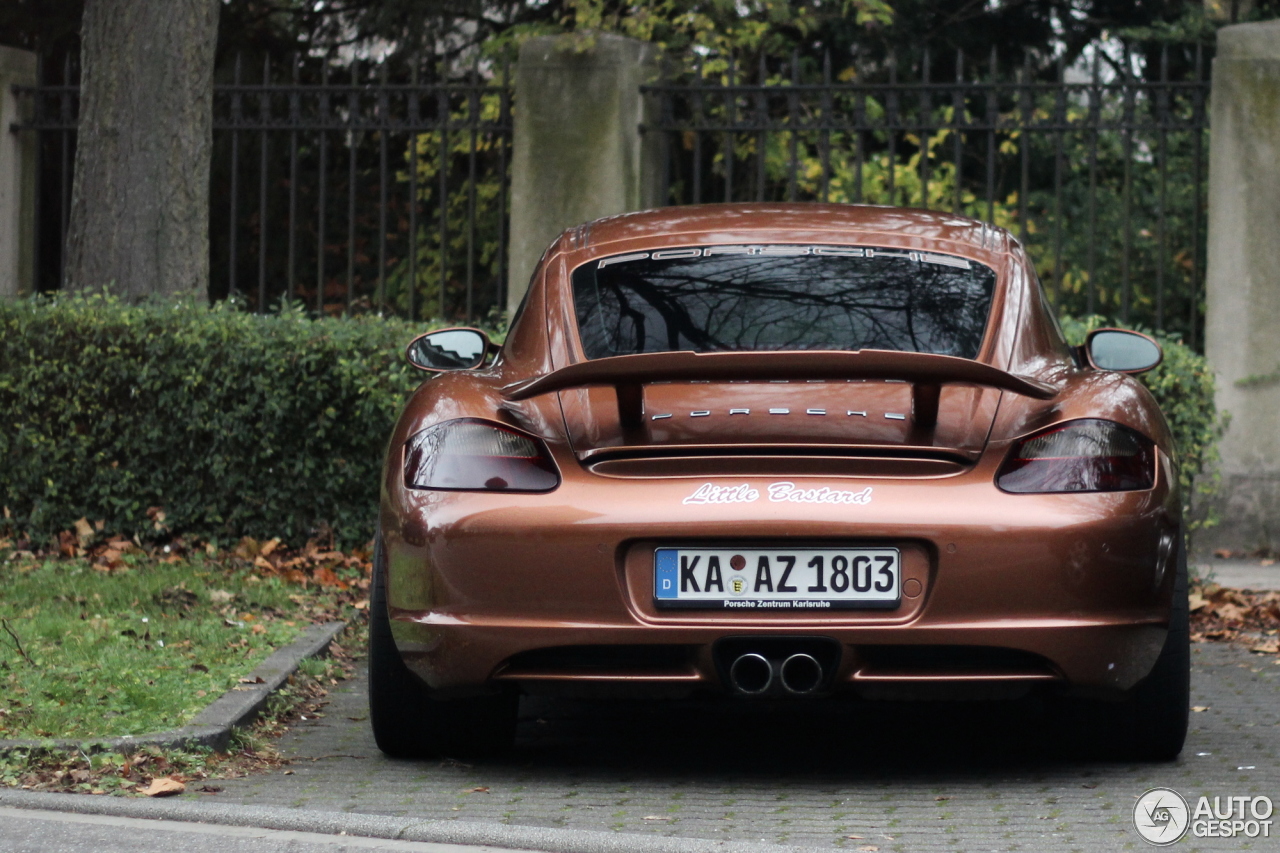 Porsche 987 Cayman S