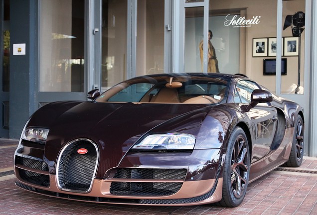 Bugatti Veyron 16.4 Grand Sport Vitesse Rembrandt Bugatti