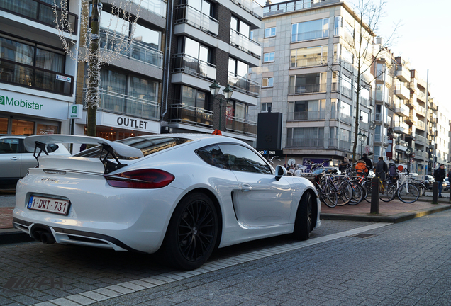 Porsche TechArt Cayman S 2013