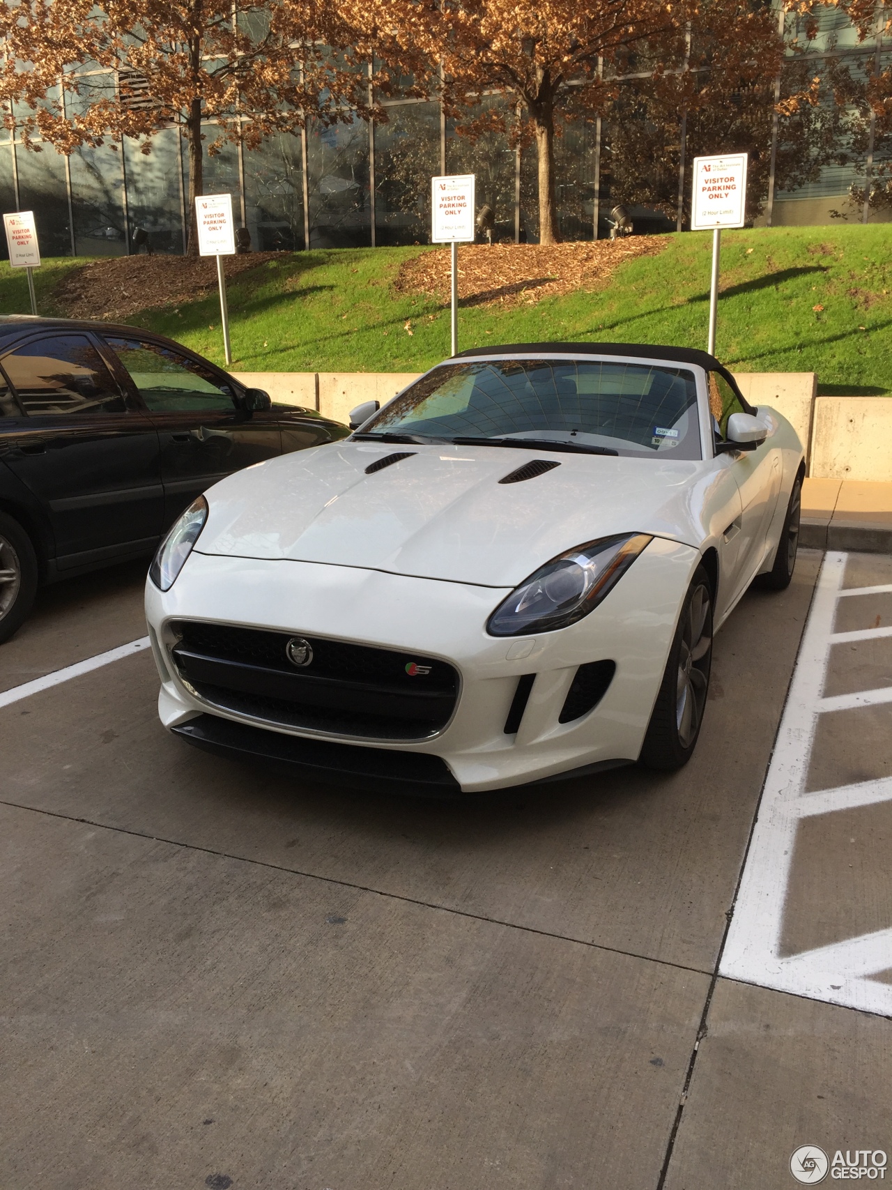 Jaguar F-TYPE S Convertible