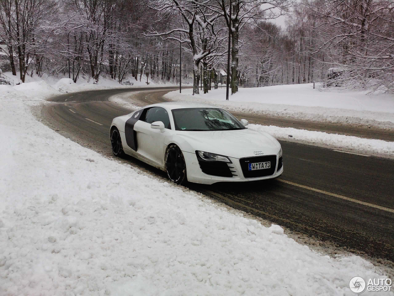 Audi R8