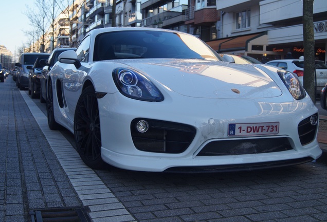 Porsche TechArt Cayman S 2013