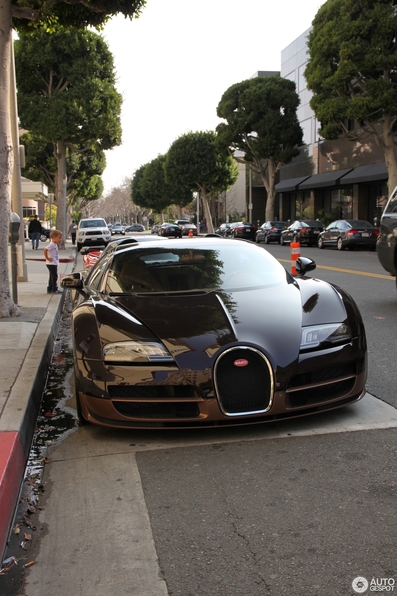 Bugatti Veyron 16.4 Grand Sport Vitesse Rembrandt Bugatti