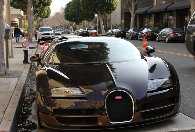 Bugatti Veyron 16.4 Grand Sport Vitesse Rembrandt Bugatti