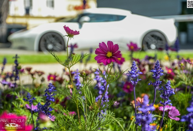 Lotus Evora